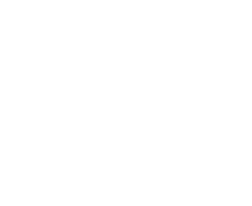 Quin-Z Consultant Solutions